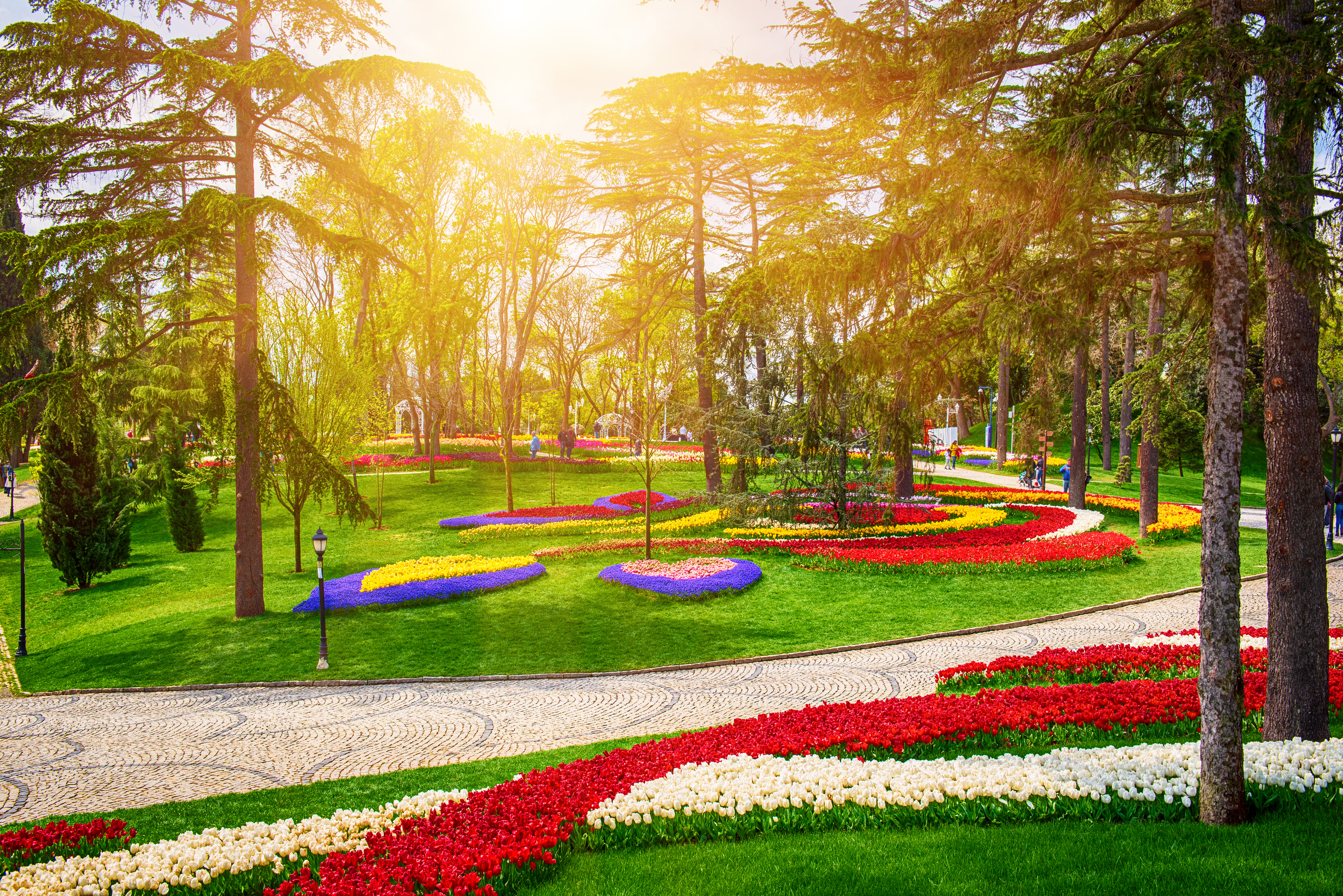حديقة Emirgan في اسطنبول